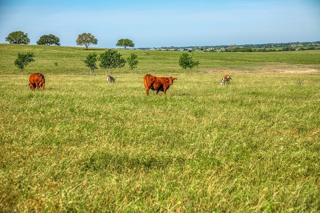 25.21 acres in Washington County - photo 7