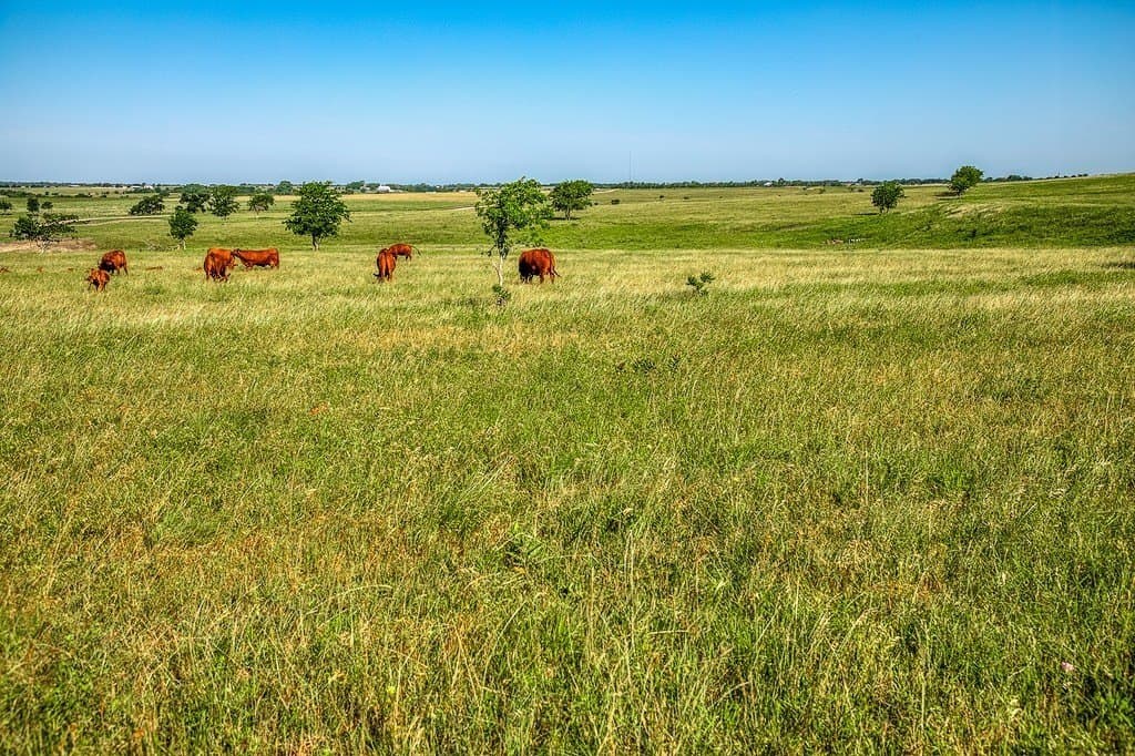 25.21 acres in Washington County - photo 8
