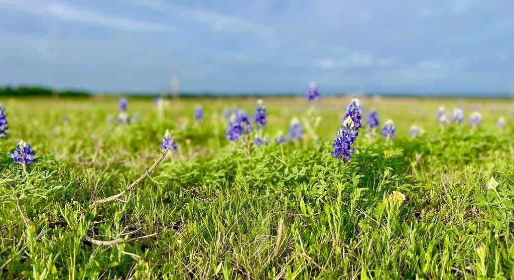 90.2 acres in McLennan County - photo 40