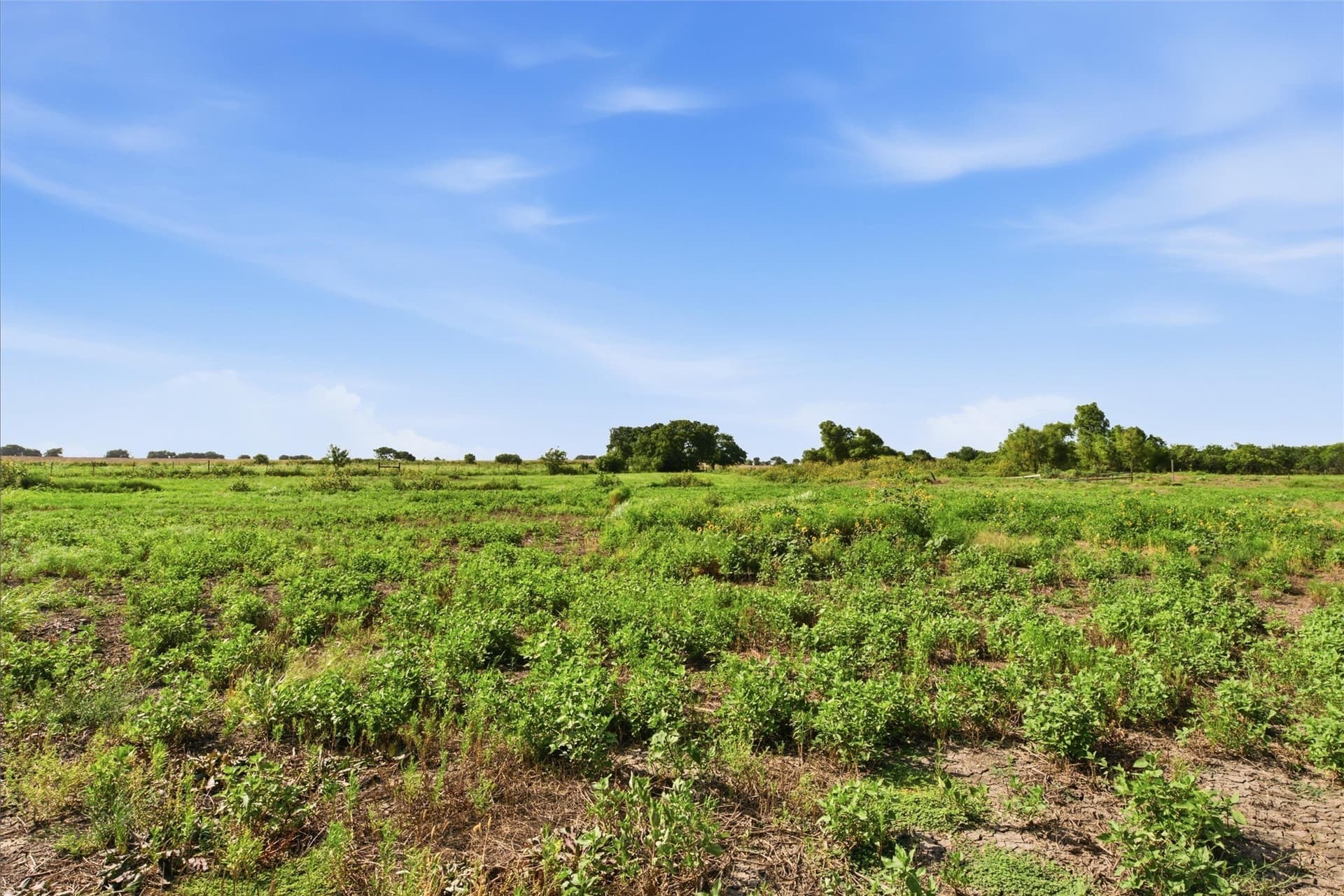 90.2 acres in McLennan County - photo 21
