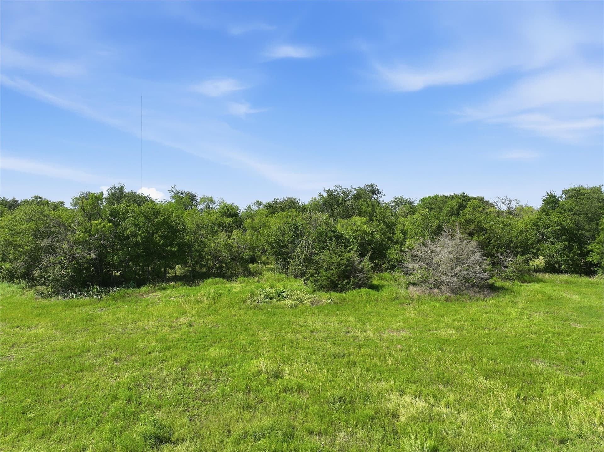 90.2 acres in McLennan County - photo 37