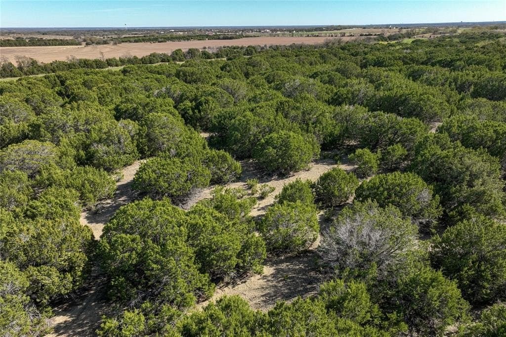 13.58 acres in McLennan County featured view