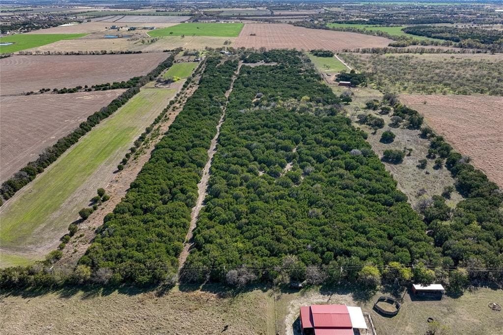 13.58 acres in McLennan County gallery image 4