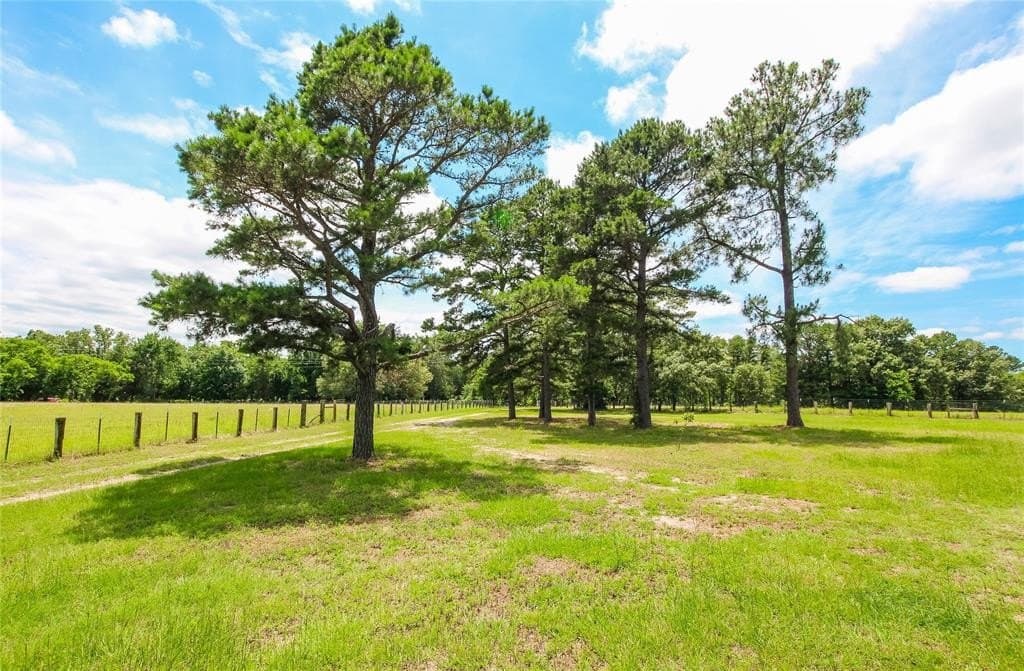 16.31 acres in Wood County gallery image 3