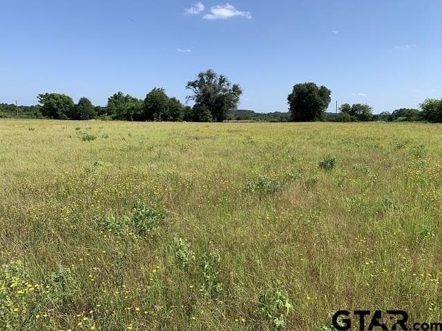 5.99 acres in Smith County - photo 7
