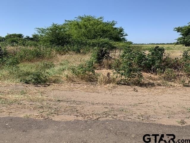 5.99 acres in Smith County - photo 3