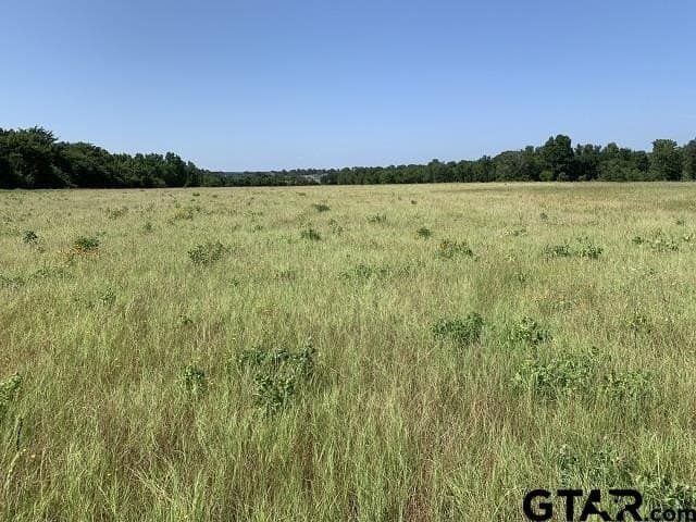 5.99 acres in Smith County - photo 4