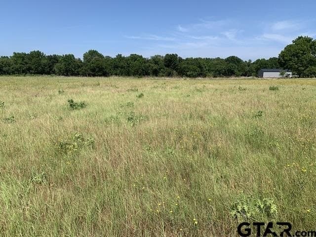 5.99 acres in Smith County - photo 5
