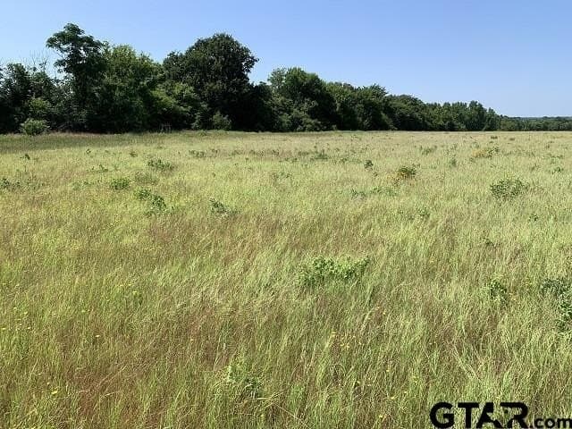 5.99 acres in Smith County - photo 6