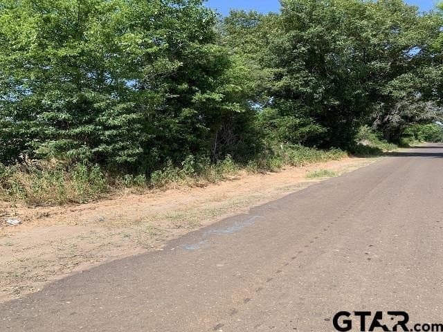 5.99 acres in Smith County - photo 2