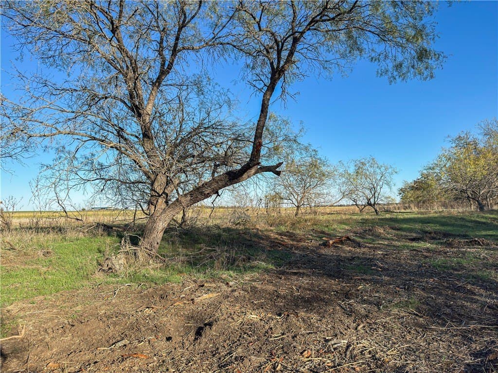 29.62 acres in McLennan County - photo 15