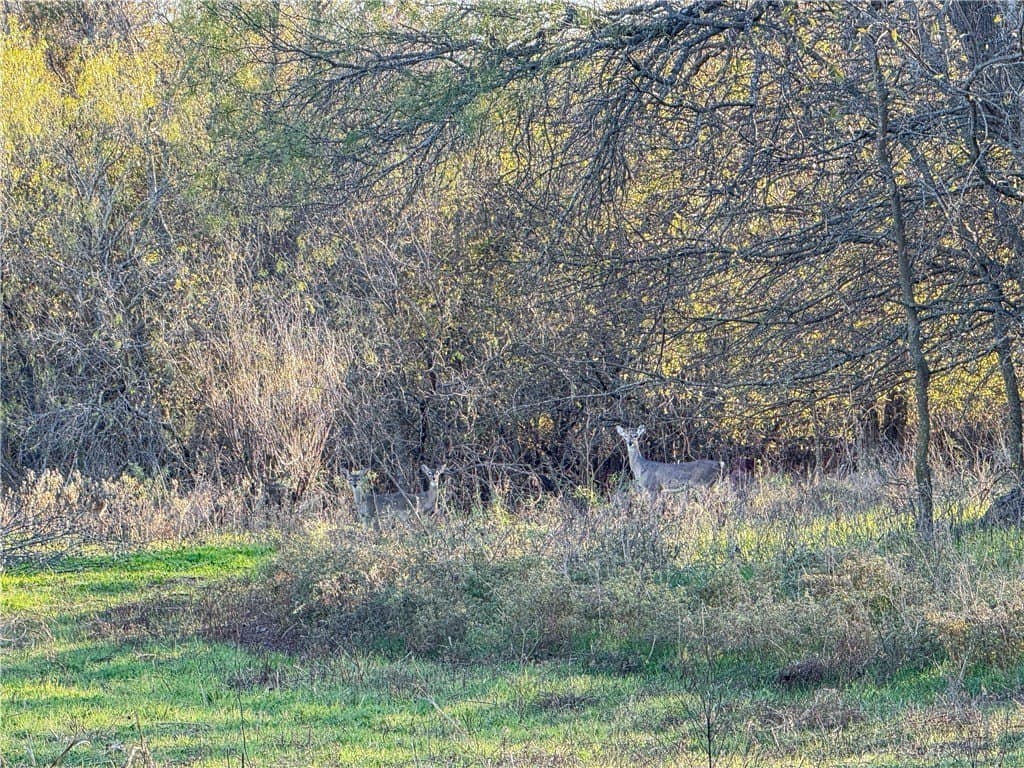 29.62 acres in McLennan County - photo 16