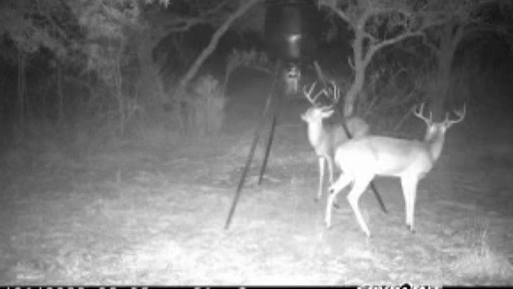 7.36 acres in Fayette County gallery image 2