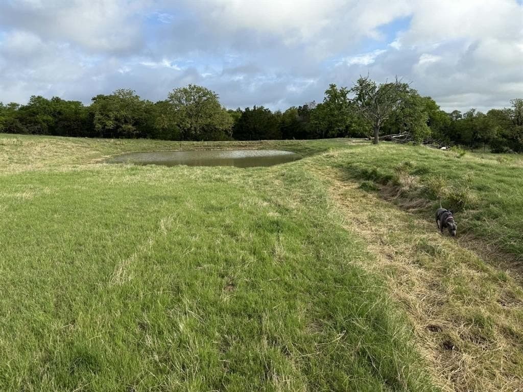 184.19 acres in Comanche County gallery image 4