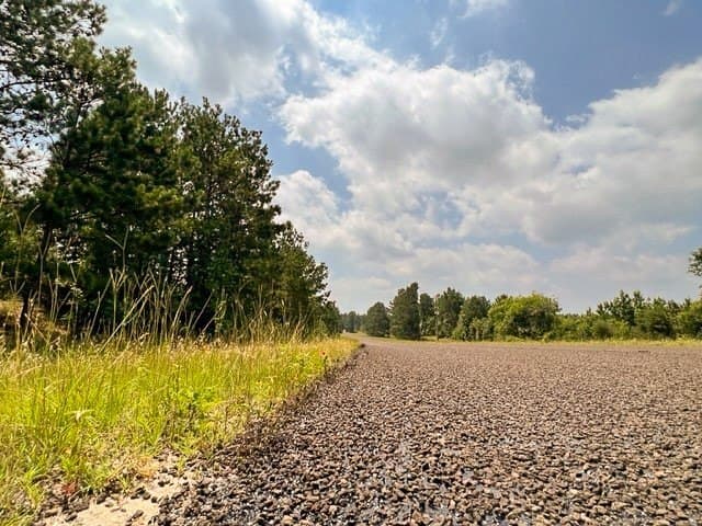 26 acres in Tyler County - photo 10