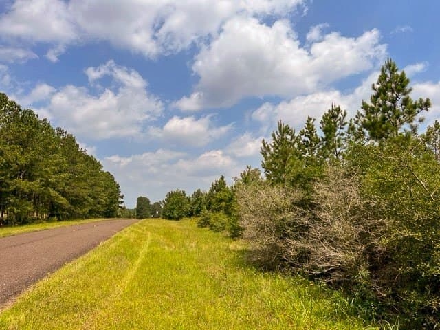 26 acres in Tyler County - photo 8