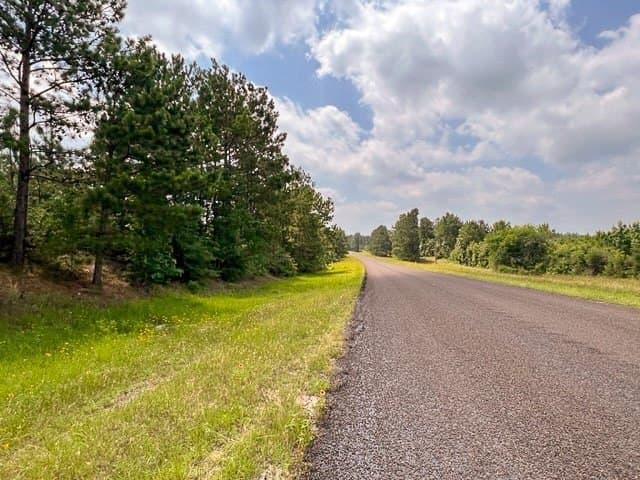26 acres in Tyler County - photo 9