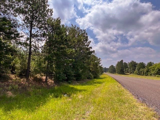 26 acres in Tyler County - photo 11