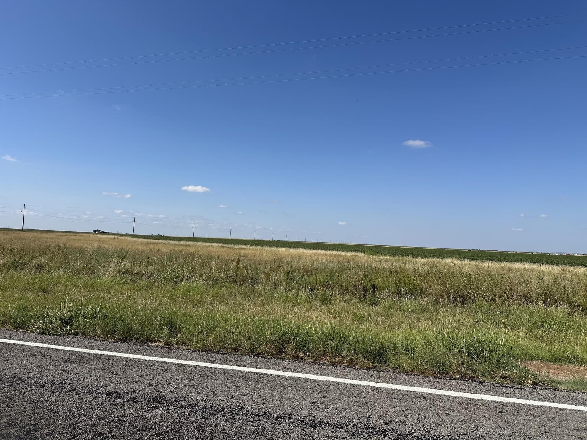 10.01 acres in Lubbock County gallery image 4