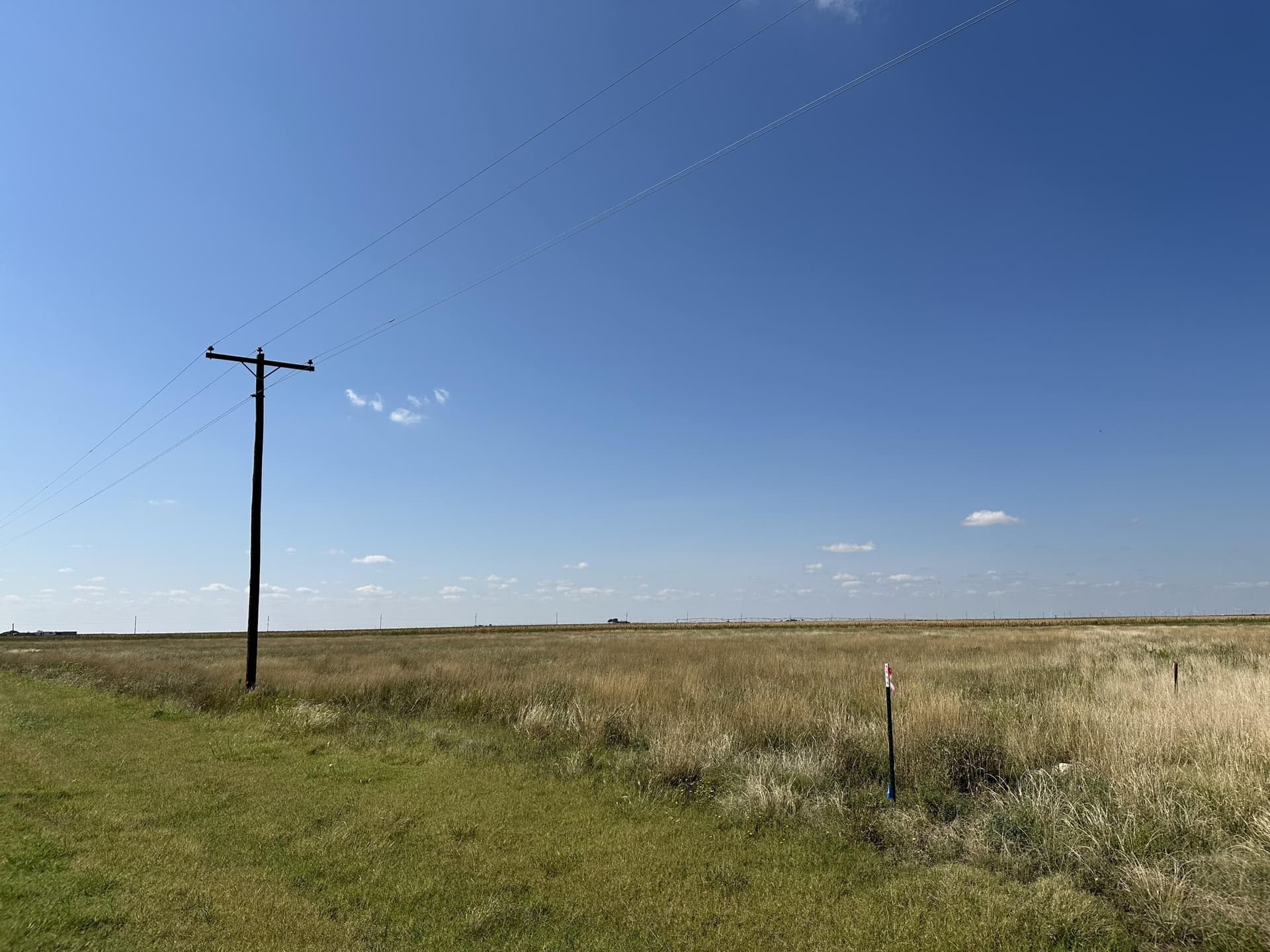 10.01 acres in Lubbock County gallery image 3