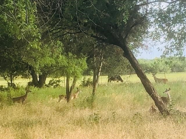 0.5 acres in Llano County gallery image 2