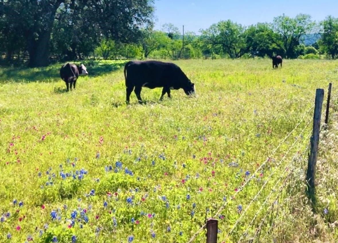 0.5 acres in Llano County gallery image 4