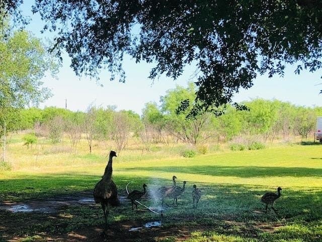 0.5 acres in Llano County featured view