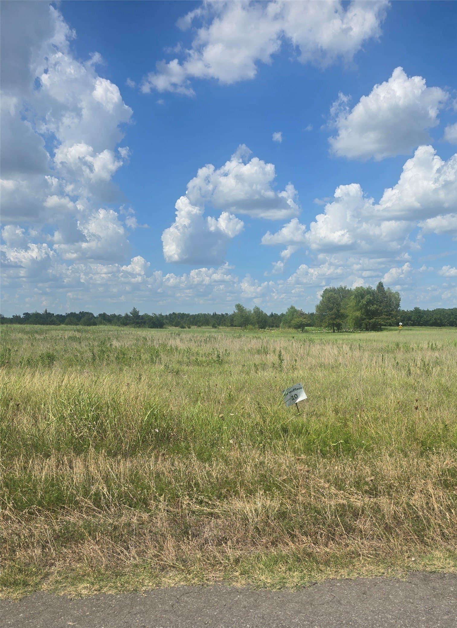 2 acres in Hunt County gallery image 2