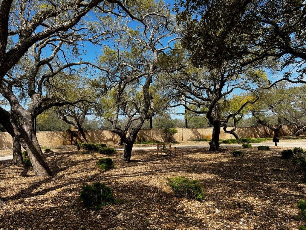 0.1 acres in Texas County - photo 23