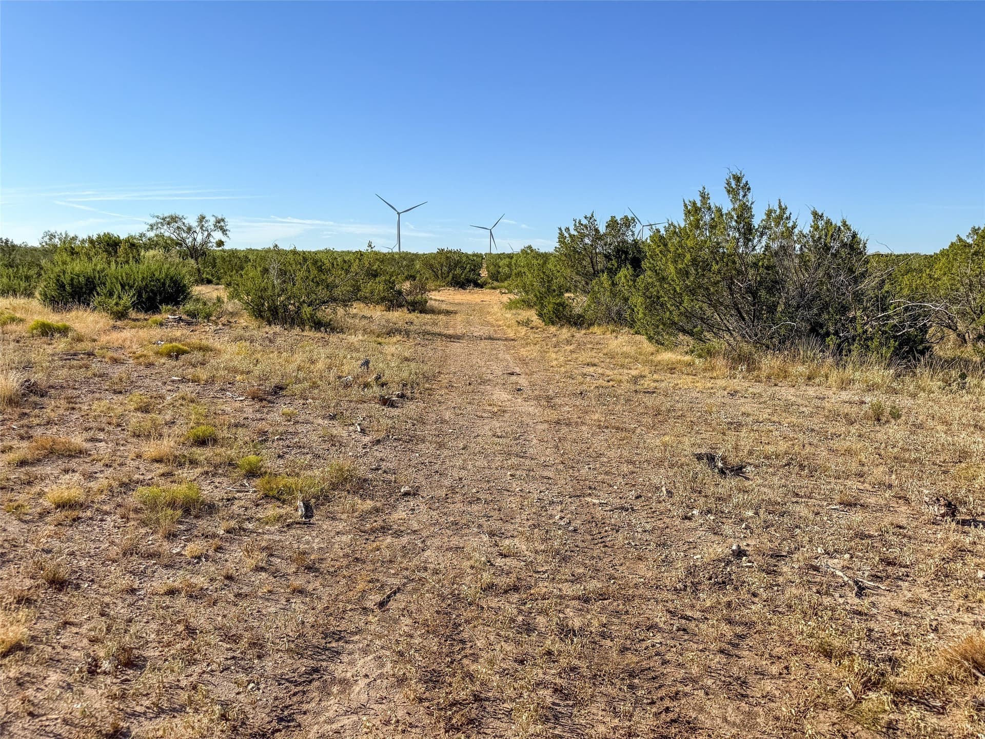 657 acres in Coke County - photo 27