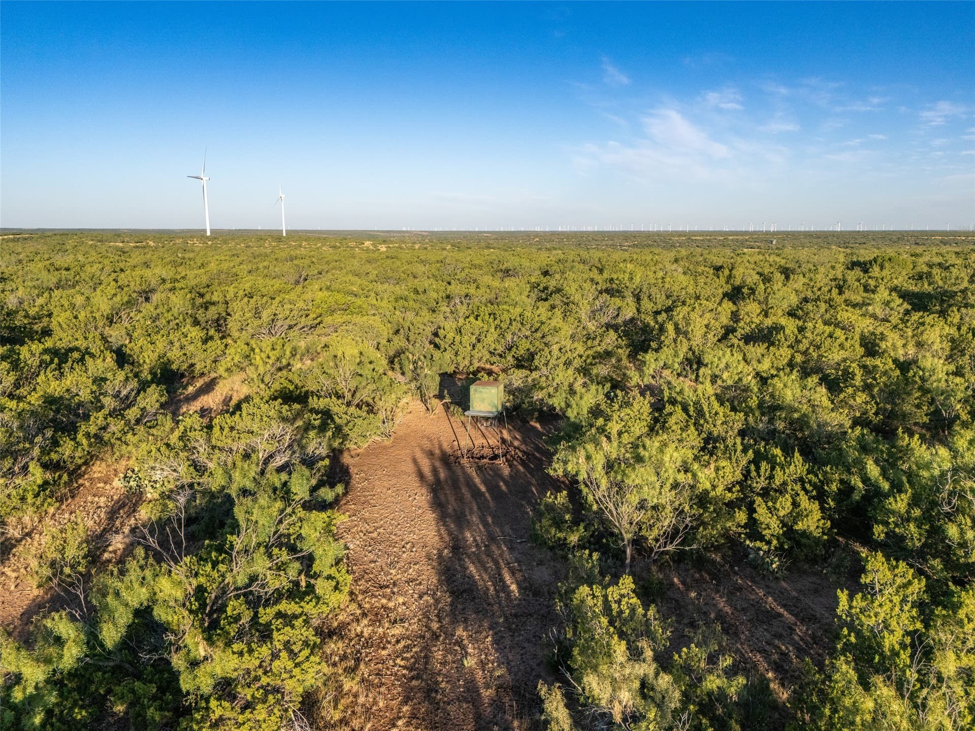 657 acres in Coke County - photo 19