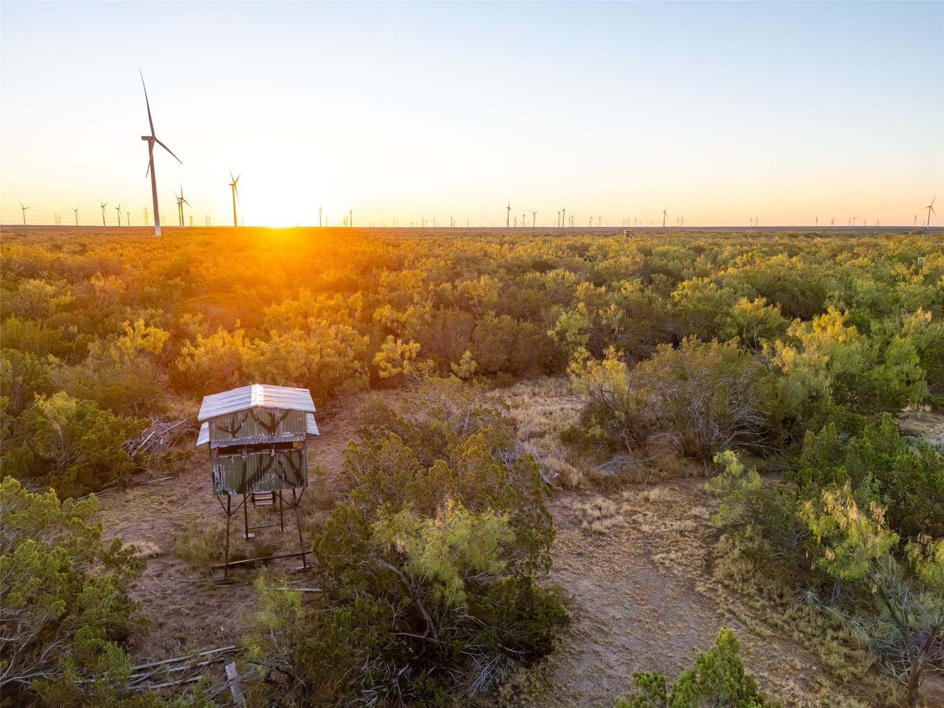 657 acres in Coke County - photo 4