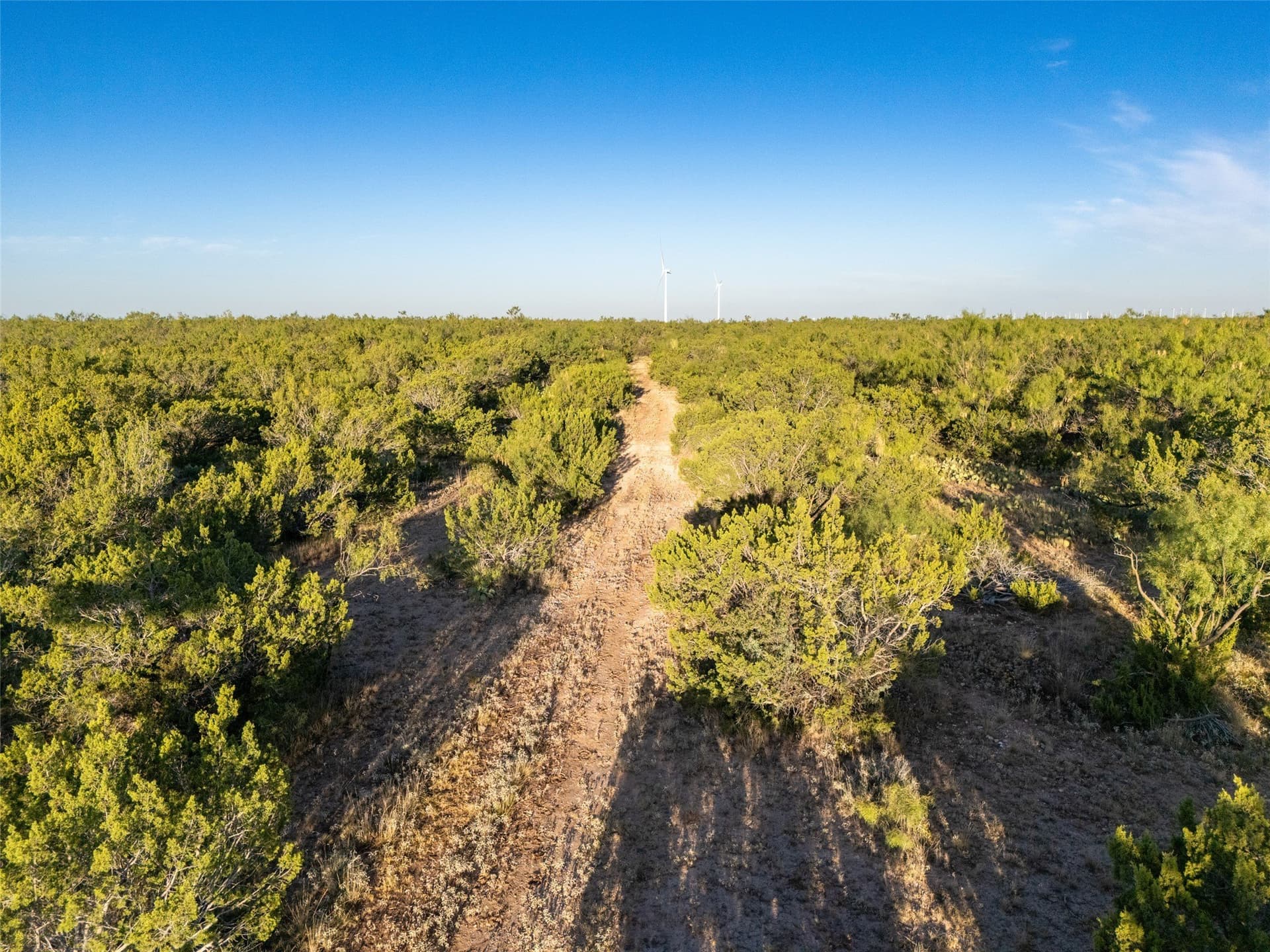 657 acres in Coke County - photo 17