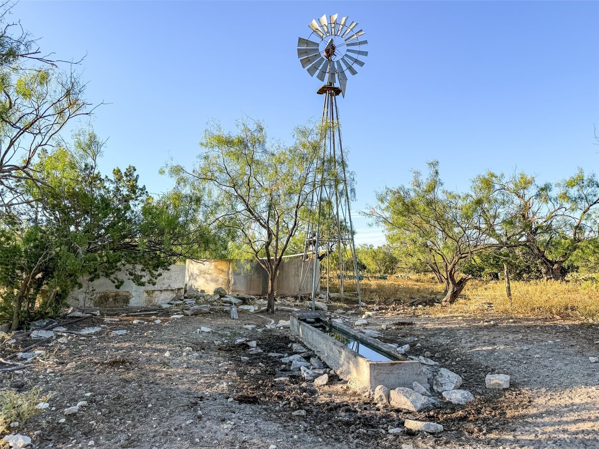 657 acres in Coke County - photo 24