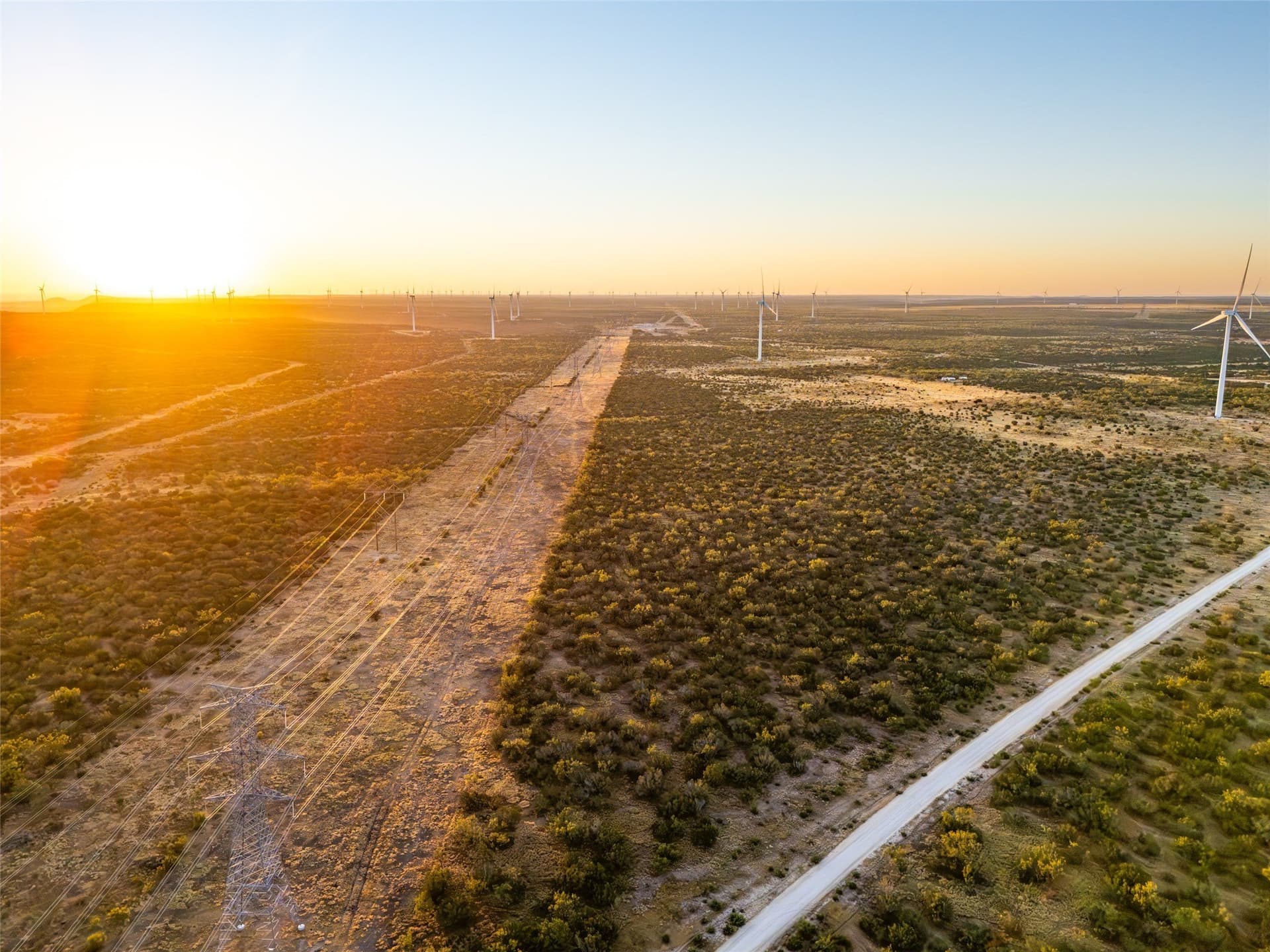 657 acres in Coke County - photo 8