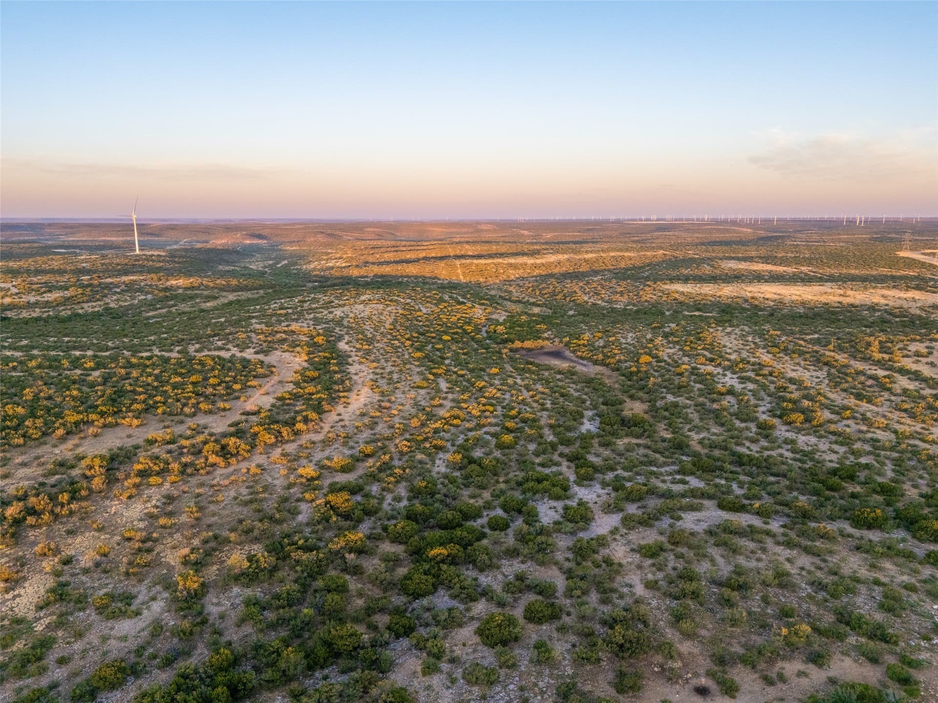 657 acres in Coke County - photo 5