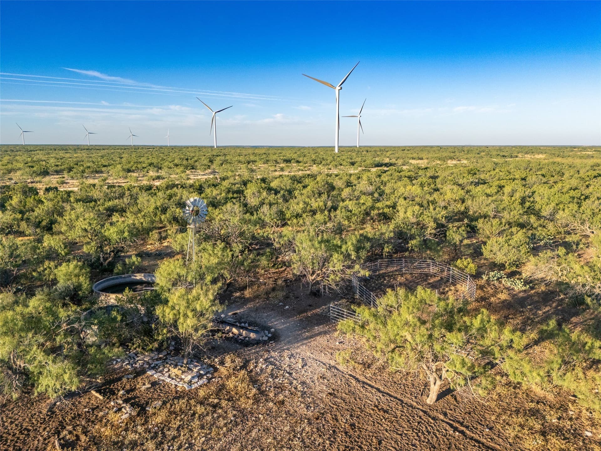 657 acres in Coke County - photo 16