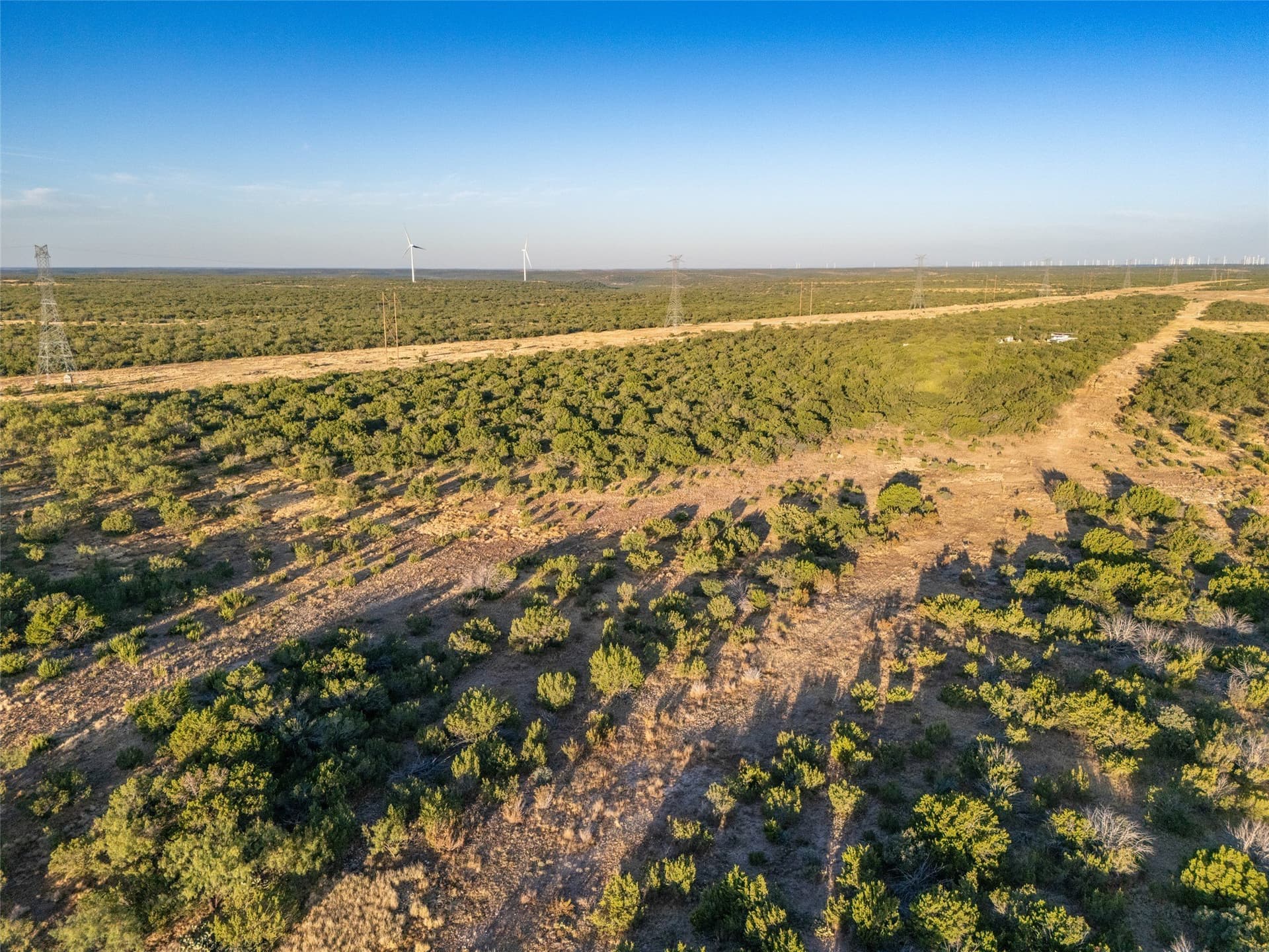 657 acres in Coke County - photo 15