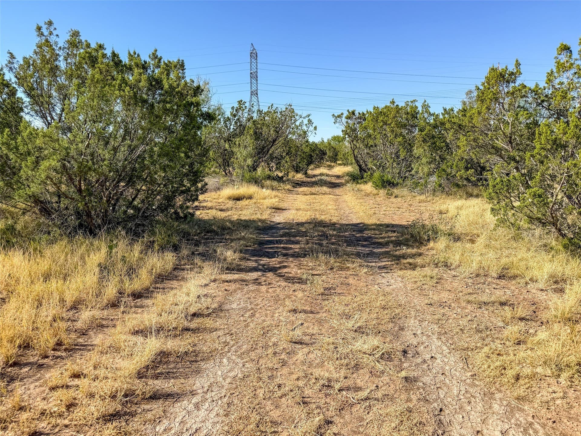 657 acres in Coke County - photo 28
