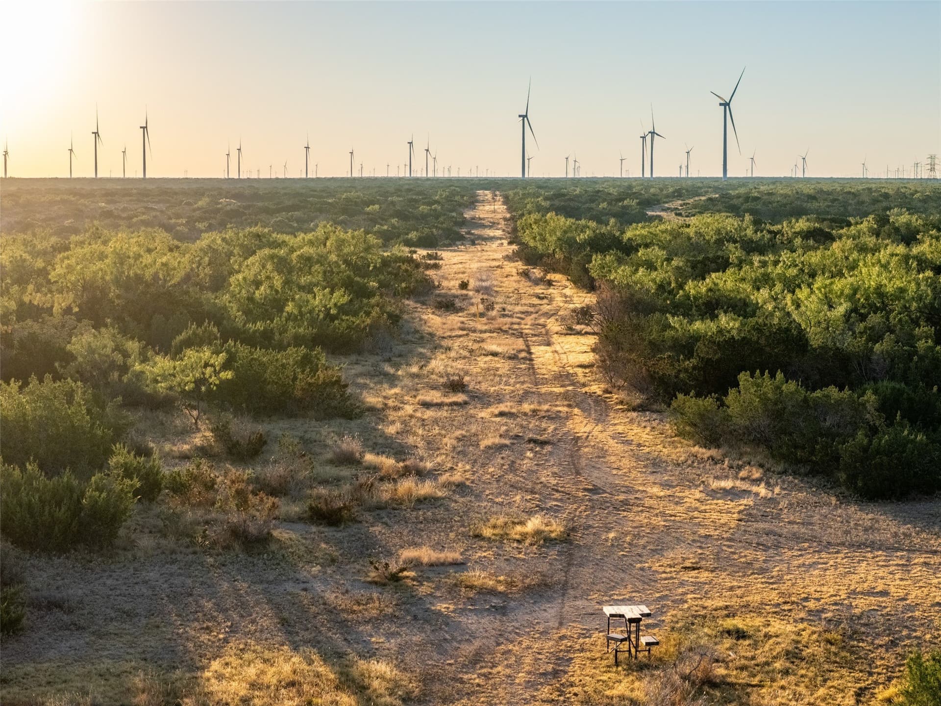 657 acres in Coke County - photo 7