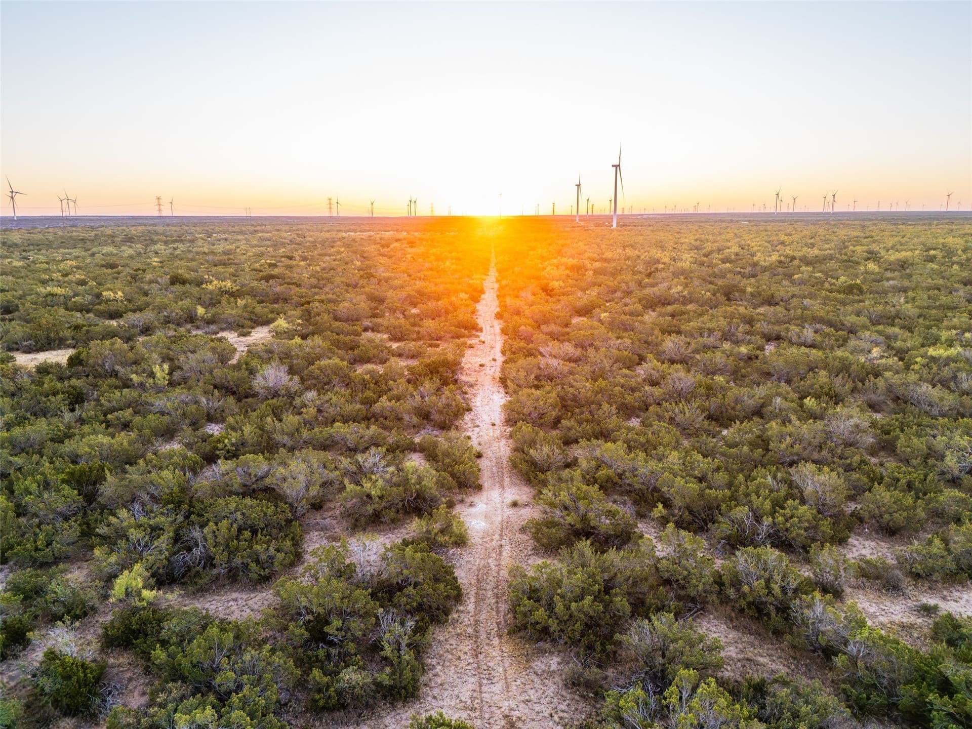 657 acres in Coke County - photo 3