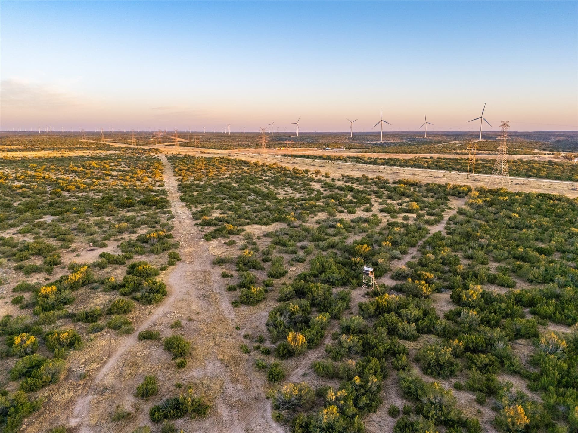 657 acres in Coke County - photo 2