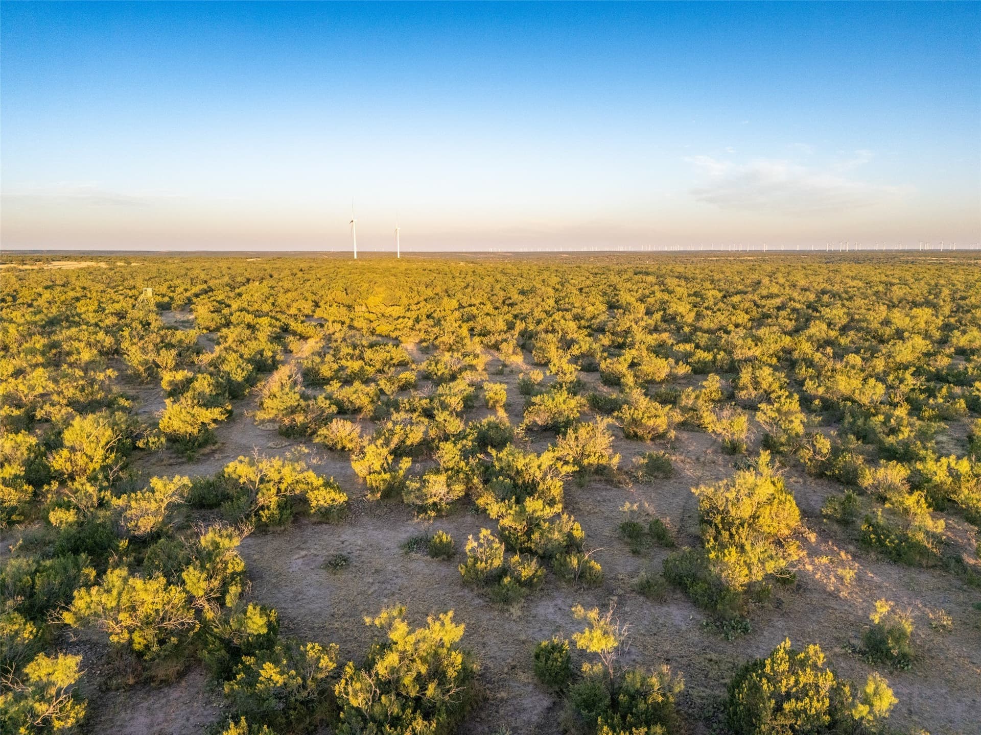 657 acres in Coke County - photo 10