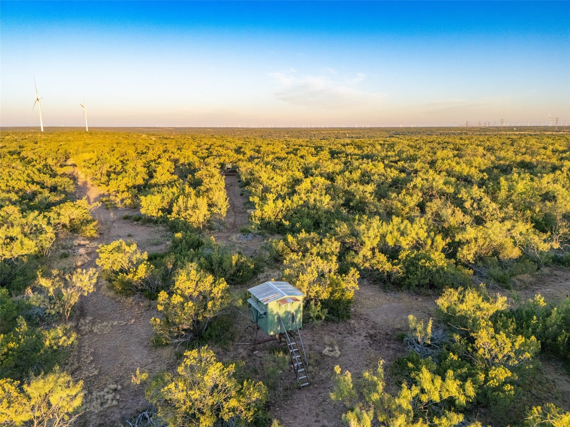657 acres in Coke County - photo 11