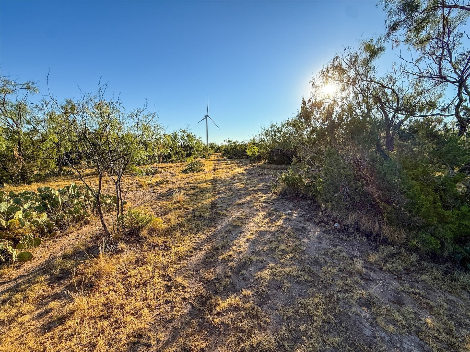 657 acres in Coke County - photo 26