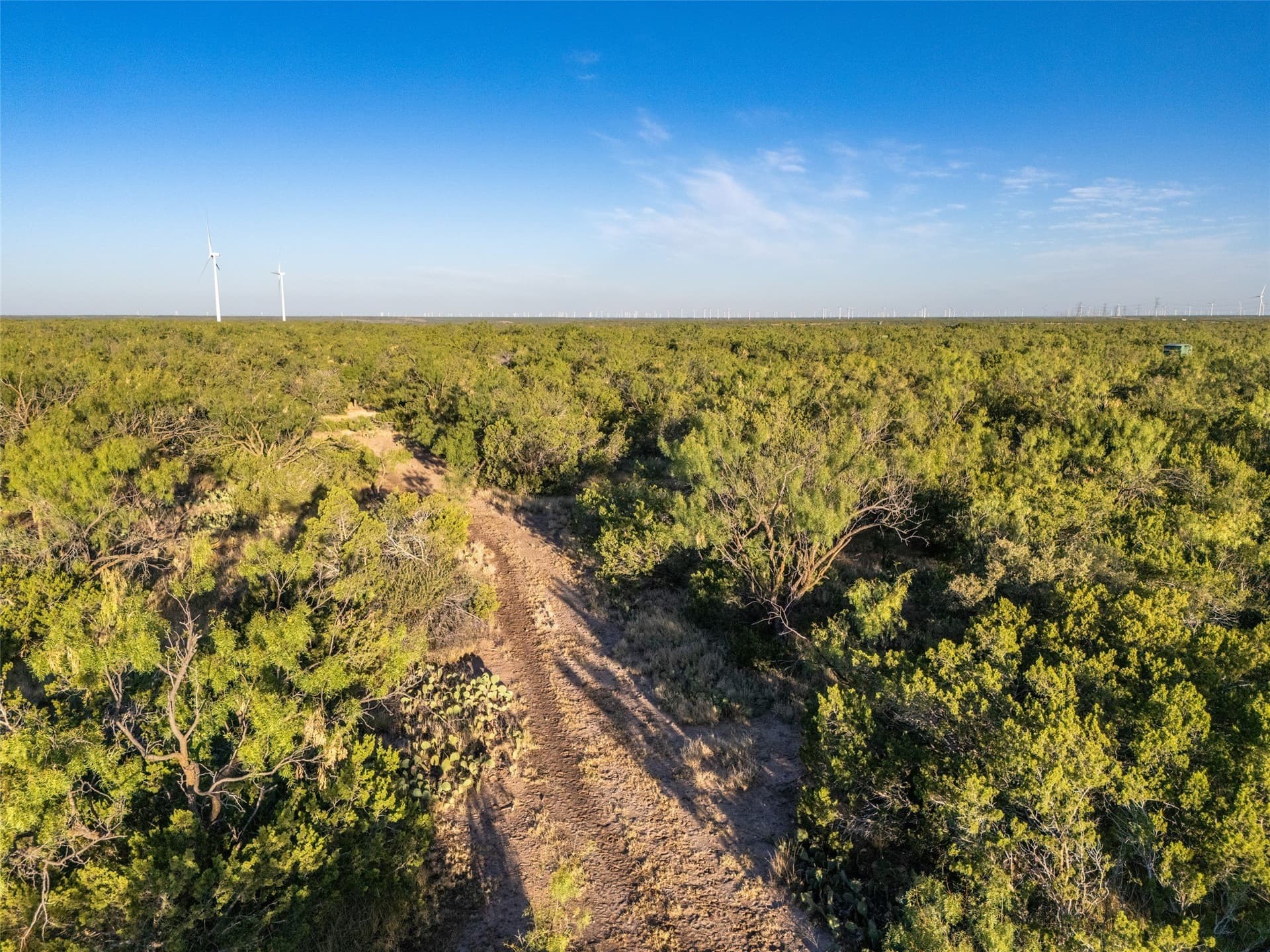 657 acres in Coke County - photo 18