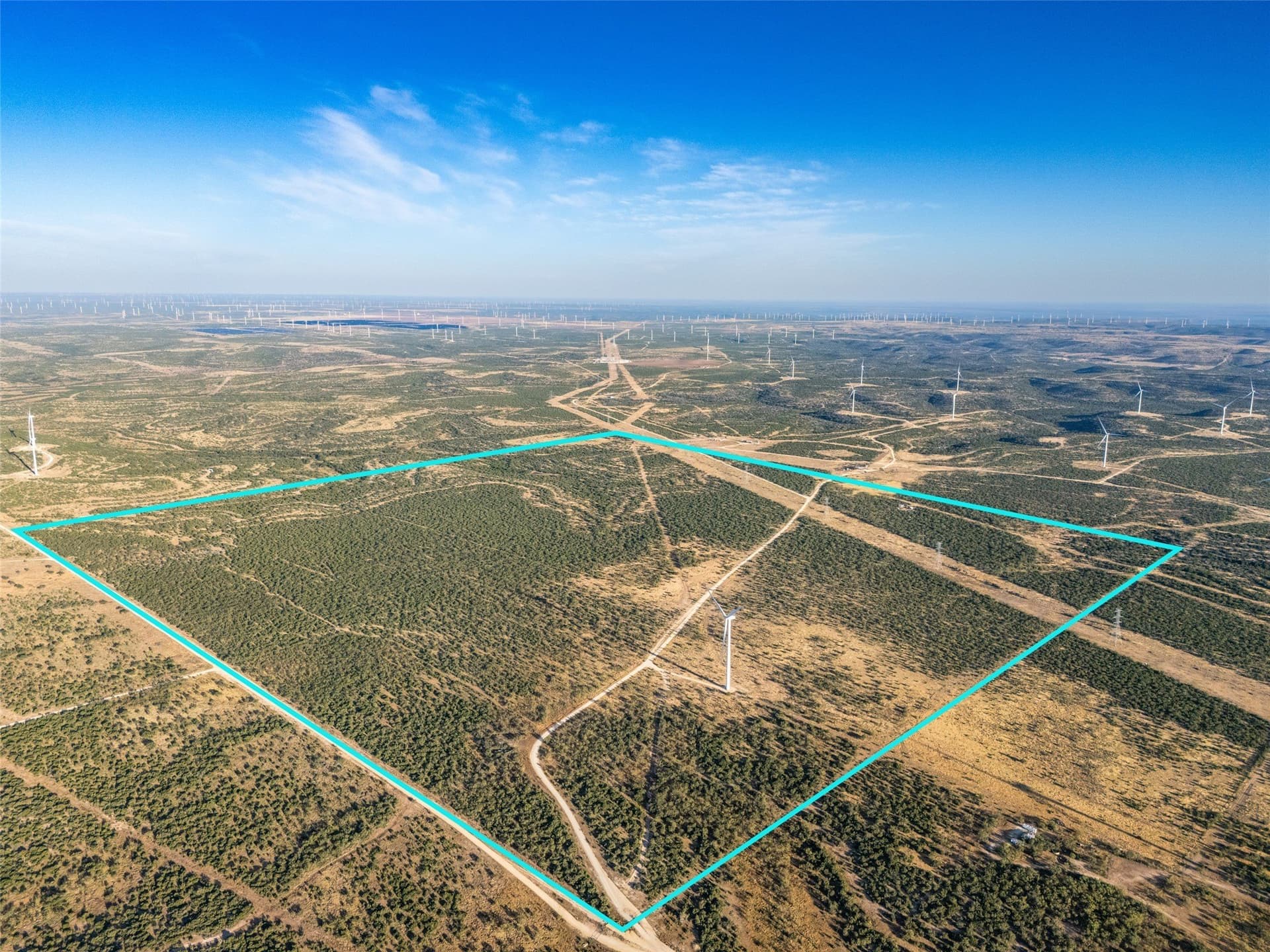 657 acres in Coke County - photo 13