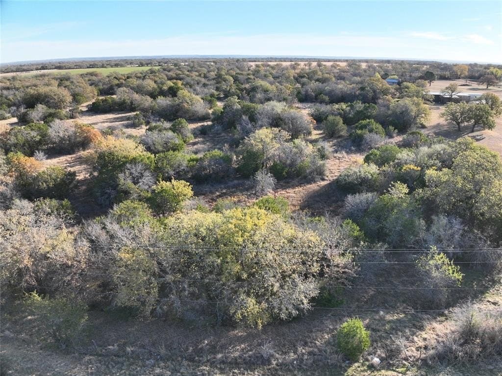 10 acres in Palo Pinto County gallery image 2