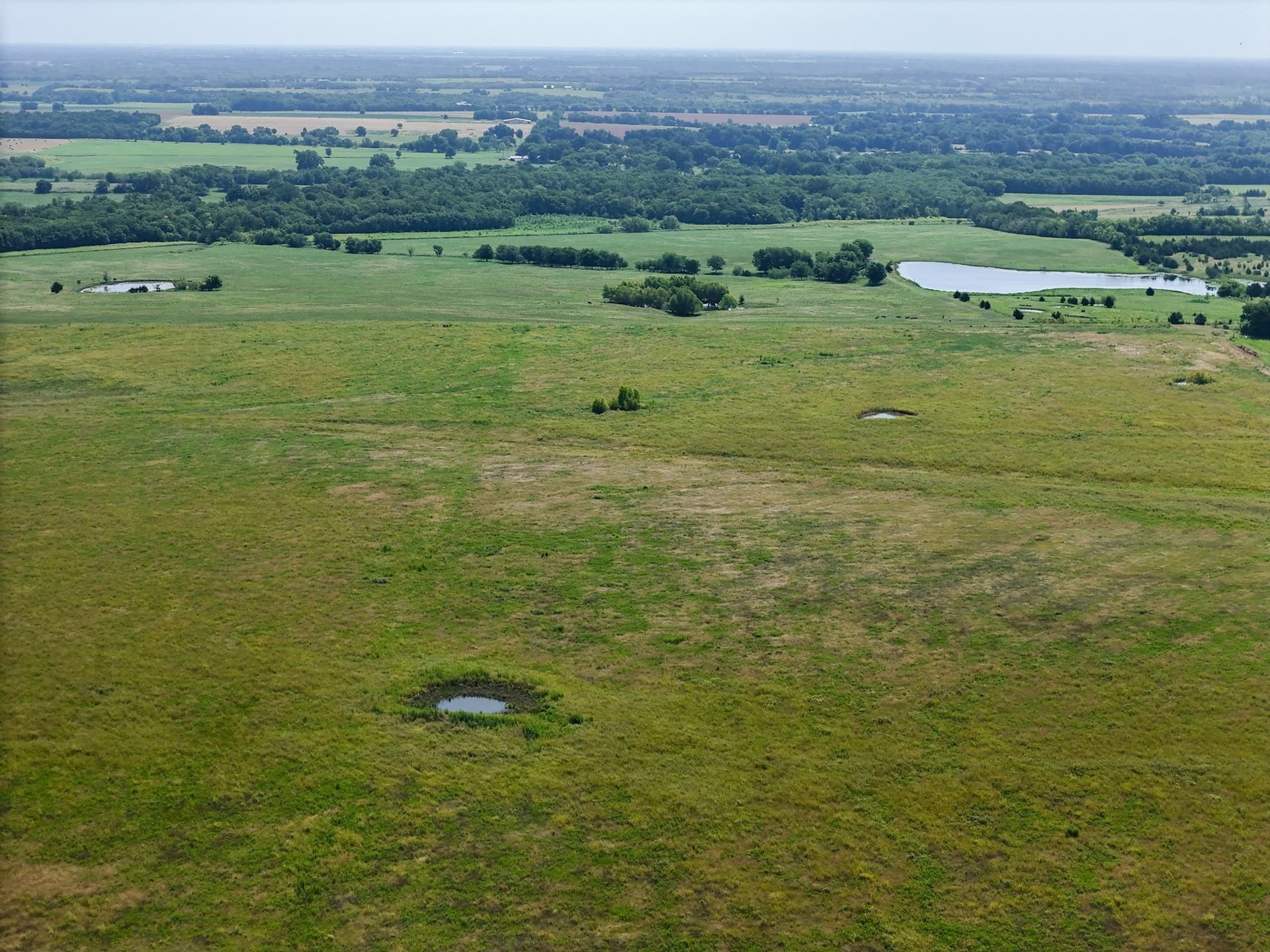 498.94 acres in Lamar County - photo 7
