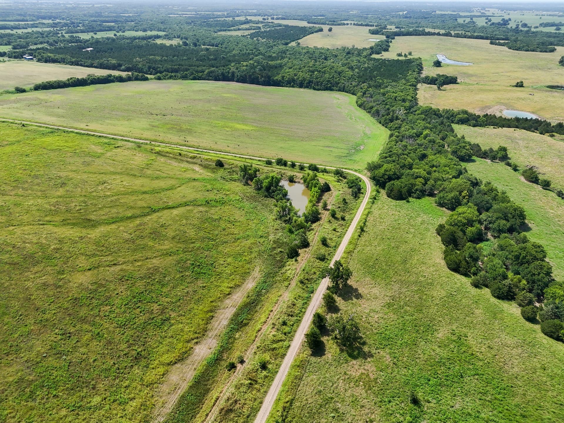 498.94 acres in Lamar County - photo 9